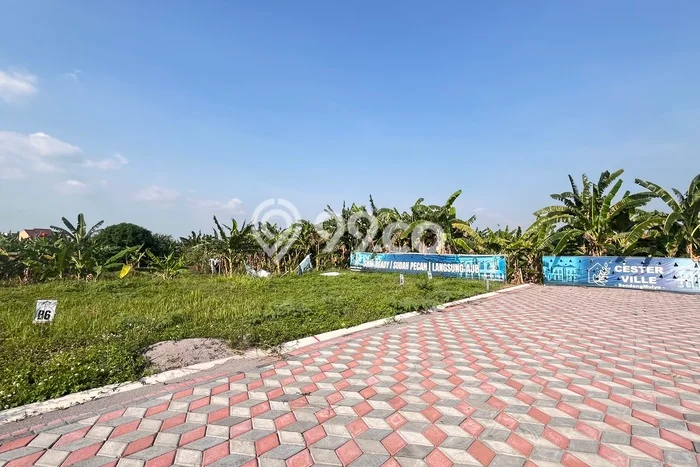 Dijual Rumah Strategis Bagus Punya 3 KT di Tembalang Semarang SHM Dijual Rumah Strategis Bagus Punya 3 KT di Tembalang Semarang SHM