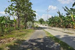Jual Tanah Kawasan Tembalang, Luas 4000m2m², Lokasi Potensial Jual Tanah Kawasan Tembalang, Luas 4000m2m², Lokasi Potensial