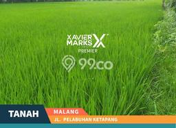 Lahan Investasi Lokasi Sukun Malang SHM Lahan Investasi Lokasi Sukun Malang SHM