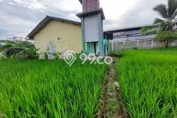 Tanah di Cariu, Bogor Luas 2500m2 Dijual Segera Tanah di Cariu, Bogor Luas 2500m2 Dijual Segera