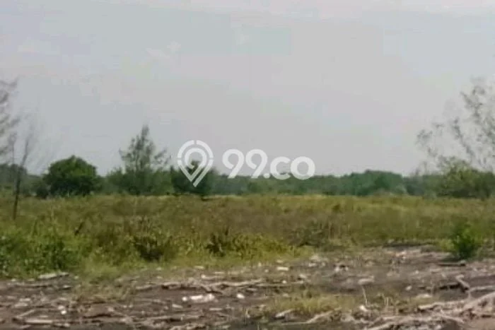 Kavling Tanah Dijual di Batang Batang Spesifikasi 2.75e+06m2 Kavling Tanah Dijual di Batang Batang Spesifikasi 2.75e+06m2