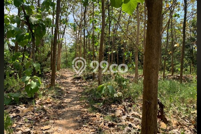 Tanah Kavling di Jatirogo Dijual dengan Luas 18320m2 Tanah Kavling di Jatirogo Dijual dengan Luas 18320m2