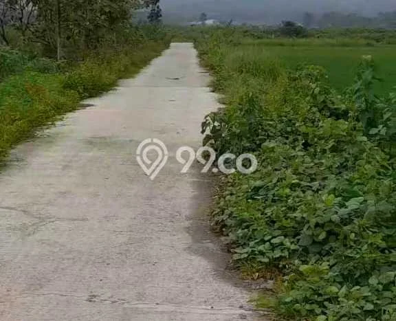 Kavling Tanah untuk Dijual di Klapanunggal, Bogor, Luas 2421m2 Kavling Tanah untuk Dijual di Klapanunggal, Bogor, Luas 2421m2