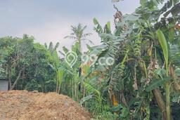 Lahan Kosong Dijual di Pagedangan, Tangerang, Luas 680m2 Area Strategis Lahan Kosong Dijual di Pagedangan, Tangerang, Luas 680m2 Area Strategis
