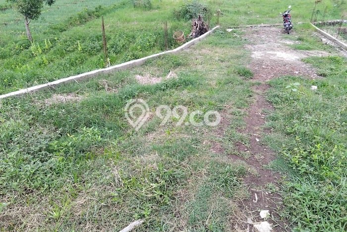 Lahan Dijual Lokasi Strategis di Malang dengan Luas 99m2 Lahan Dijual Lokasi Strategis di Malang dengan Luas 99m2