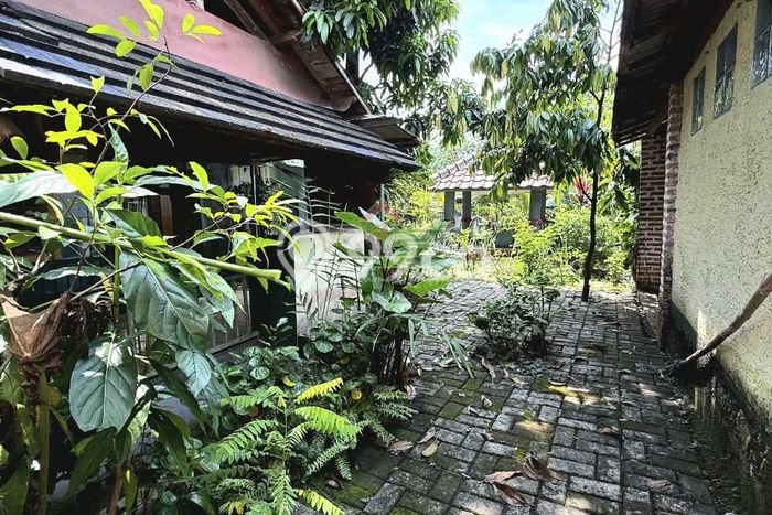 Untuk Dijual Tanah 243m2 di Sektor 2 - Bintaro, Jakarta Selatan Untuk Dijual Tanah 243m2 di Sektor 2 - Bintaro, Jakarta Selatan