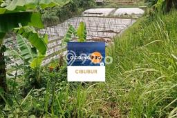 Kavling Tanah Dijual di Pamijahan Bogor Spesifikasi 9299m2 Kavling Tanah Dijual di Pamijahan Bogor Spesifikasi 9299m2