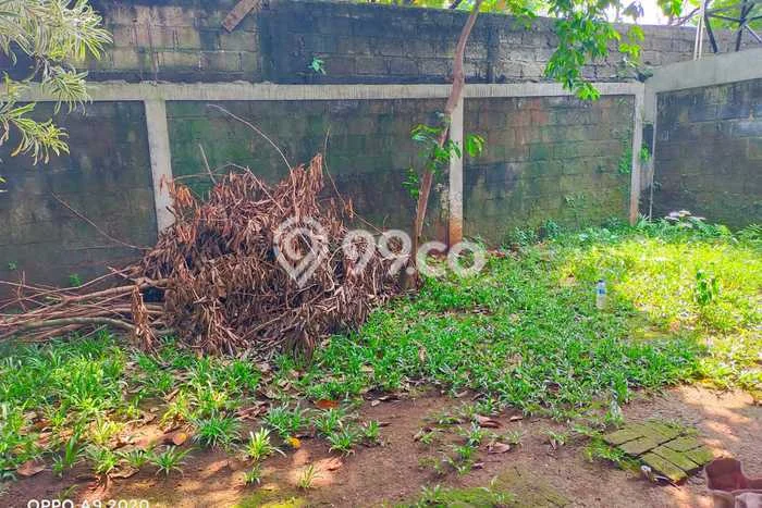Rumah Modern 2 KT LT 170m2 di Pasir Putih Rumah Modern 2 KT LT 170m2 di Pasir Putih