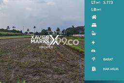 Tanah Lokasi Strategis Kawasan Kedungkandang, Luas 5773m2m², Lingkungan Nyaman, Dekat Kedungkandang, Malang, Malang Tanah Lokasi Strategis Kawasan Kedungkandang, Luas 5773m2m², Lingkungan Nyaman, Dekat Kedungkandang, Malang, Malang