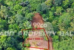 Tanah Kavling di Ubud Dijual dengan Luas 1000m2 Tanah Kavling di Ubud Dijual dengan Luas 1000m2
