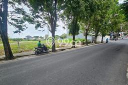 Tanah Kavling Disewakan di Canggu dengan Luas 5459m2 Tanah Kavling Disewakan di Canggu dengan Luas 5459m2