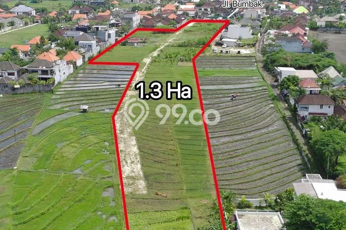 Tanah Disewa di Kerobokan Strategis dan Memiliki Luas 13000m2 Tanah Disewa di Kerobokan Strategis dan Memiliki Luas 13000m2