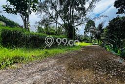 Tanah Kavling untuk Dijual di Ubud Gianyar 1000m2 Tanah Kavling untuk Dijual di Ubud Gianyar 1000m2