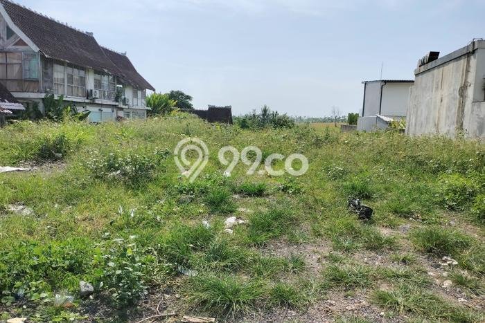 Disewakan Tanah di Canggu, Luas 1056m², Akses Bagus Disewakan Tanah di Canggu, Luas 1056m², Akses Bagus