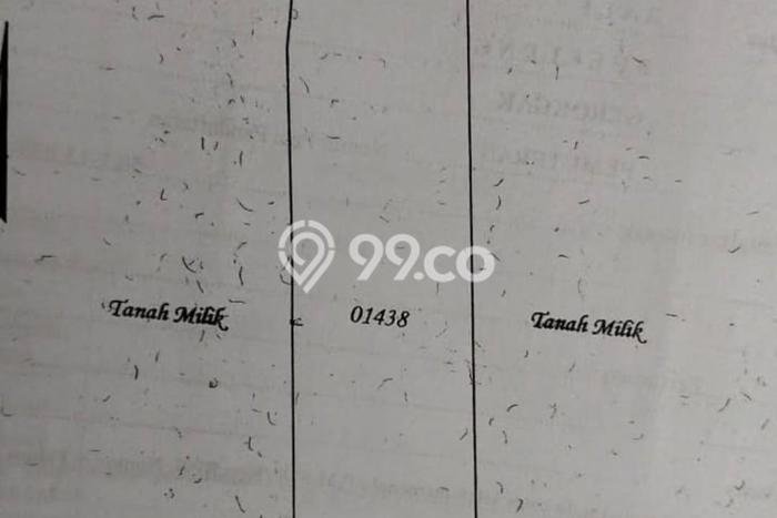 Lahan Dijual Lokasi Buleleng, Buleleng dengan Luas Tanah 4270m2 dan Status SHM Lahan Dijual Lokasi Buleleng, Buleleng dengan Luas Tanah 4270m2 dan Status SHM