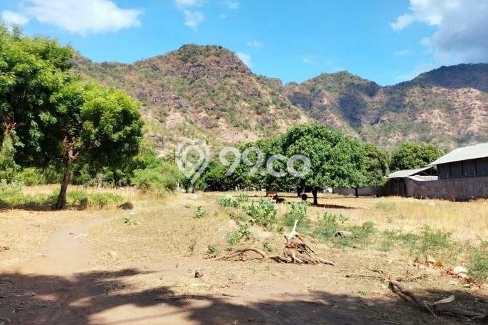 Lahan Dijual Lokasi Buleleng, Buleleng dengan Luas Tanah 4270m2 dan Status SHM Lahan Dijual Lokasi Buleleng, Buleleng dengan Luas Tanah 4270m2 dan Status SHM
