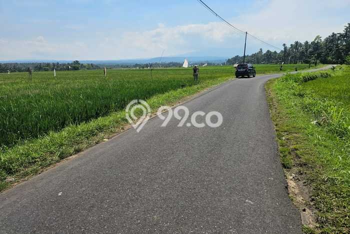 Tanah Area Berkembang di Gadungan, Luas 1600m², Kawasan Nyaman, Akses Gadungan, Tabanan, Tabanan Tanah Area Berkembang di Gadungan, Luas 1600m², Kawasan Nyaman, Akses Gadungan, Tabanan, Tabanan