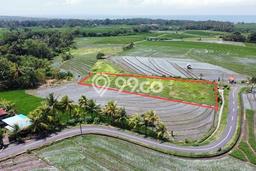 Tanah Dijual Area Strategis di Beraban Tabanan 2330m2 Tanah Dijual Area Strategis di Beraban Tabanan 2330m2