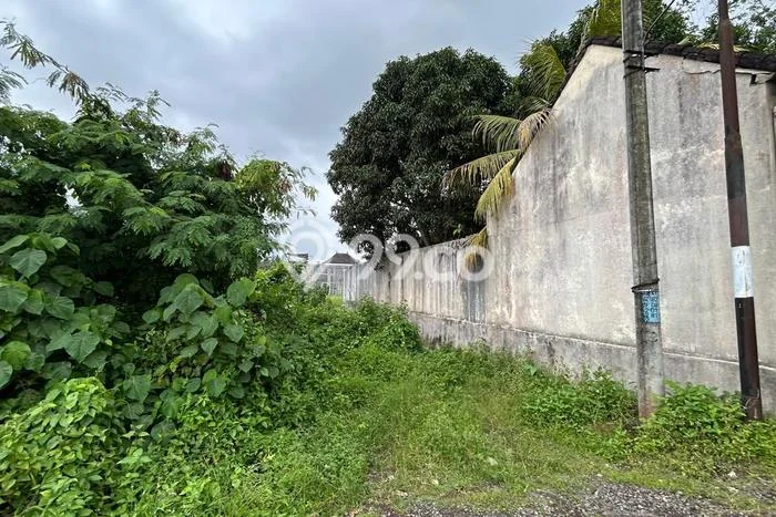 Jual Tanah Area Berkembang di Kedungu, Luas 500m², Akses Kedungu, Tabanan, Tabanan Jual Tanah Area Berkembang di Kedungu, Luas 500m², Akses Kedungu, Tabanan, Tabanan