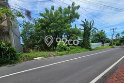 Tanah Kavling Dijual di Badung dengan Spesifikasi 990m2 Tanah Kavling Dijual di Badung dengan Spesifikasi 990m2