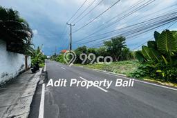 Tanah Kavling Dijual di Badung dengan Spesifikasi 1550m2 Tanah Kavling Dijual di Badung dengan Spesifikasi 1550m2
