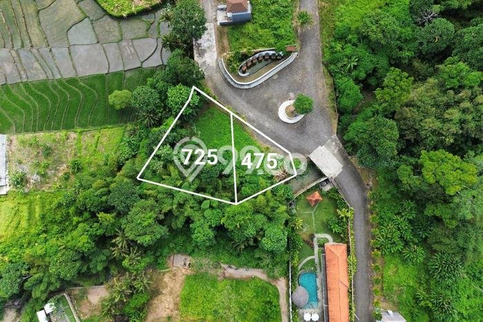 Tanah di Kedungu, Luas 475m², Lokasi Premium Tanah di Kedungu, Luas 475m², Lokasi Premium
