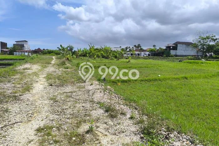 Tanah Disewa di Kerobokan Strategis dan Memiliki Luas 13000m2 Tanah Disewa di Kerobokan Strategis dan Memiliki Luas 13000m2
