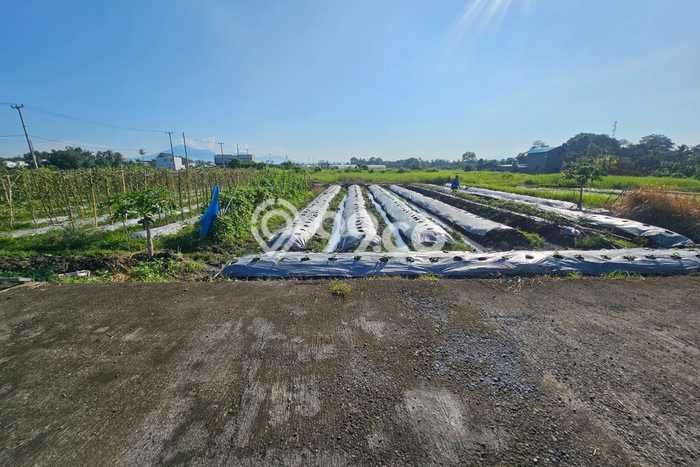 Tanah Kosong Dijual di Tabanan dengan Area 500m2 Tanah Kosong Dijual di Tabanan dengan Area 500m2