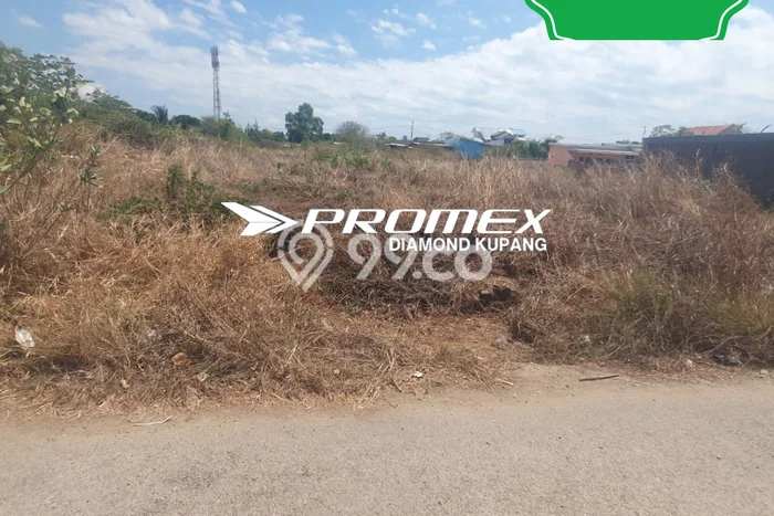 Lahan Strategis di Kelapa Lima Dijual dengan Luas 2000m2 Lahan Strategis di Kelapa Lima Dijual dengan Luas 2000m2