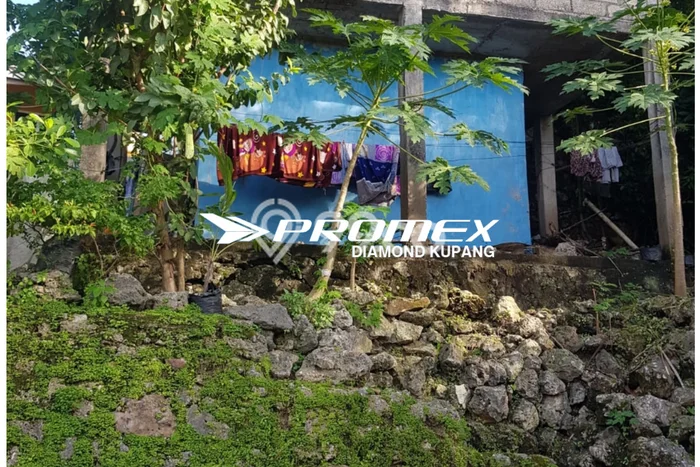 Dijual Rumah Murah di Kota Raja Kupang Harga Rp 275 Juta LT 173m2 Dijual Rumah Murah di Kota Raja Kupang Harga Rp 275 Juta LT 173m2