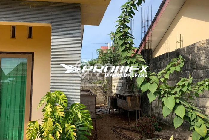 Jual Rumah Siap Huni di Alak Kupang Harga Rp 270 Juta LT 147m2 Jual Rumah Siap Huni di Alak Kupang Harga Rp 270 Juta LT 147m2