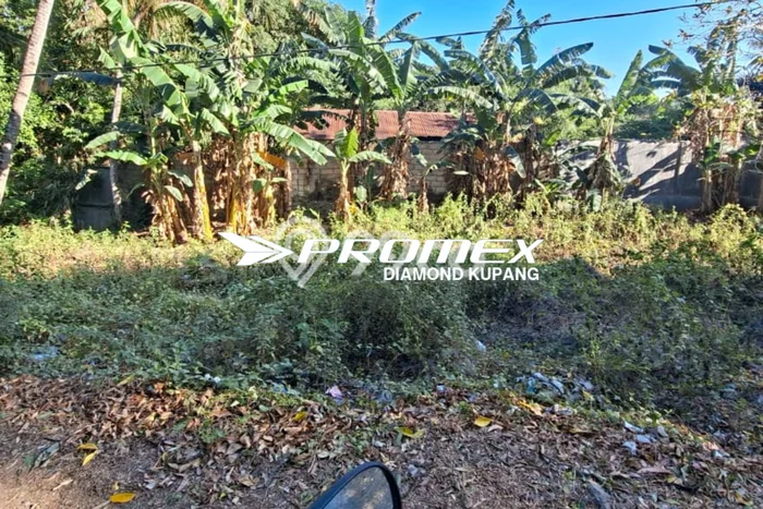 Lahan Investasi Lokasi Maulafa Kupang SHM Lahan Investasi Lokasi Maulafa Kupang SHM