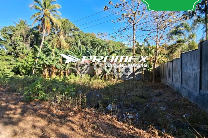 Lahan Investasi Lokasi Maulafa Kupang SHM Lahan Investasi Lokasi Maulafa Kupang SHM