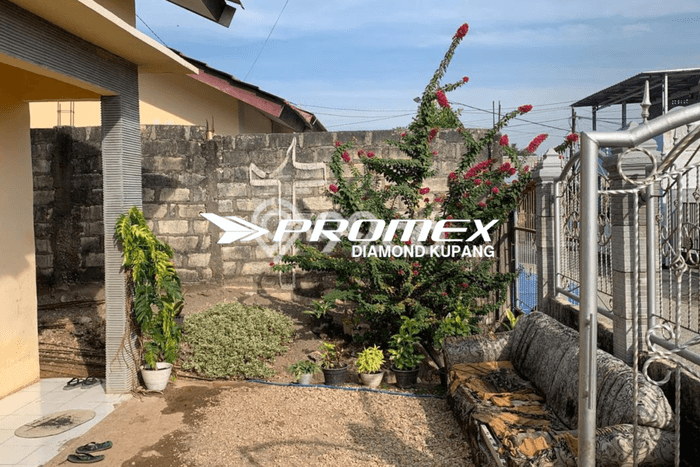 Jual Rumah Siap Huni di Alak Kupang Harga Rp 270 Juta LT 147m2 Jual Rumah Siap Huni di Alak Kupang Harga Rp 270 Juta LT 147m2