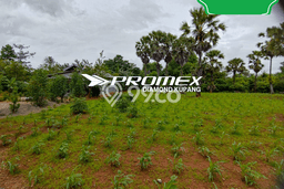 Kavling Tanah Dijual di Rote Barat Daya Rote Ndao Spesifikasi 1440m2 Kavling Tanah Dijual di Rote Barat Daya Rote Ndao Spesifikasi 1440m2