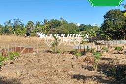 Dijual Tanah di Maulafa Kupang Luas 10000m2 SHM Dijual Tanah di Maulafa Kupang Luas 10000m2 SHM