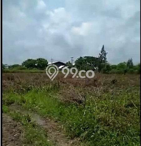 Tanah untuk Dijual Lokasi Widang, Tuban Luas 43000m2 SHM Tanah untuk Dijual Lokasi Widang, Tuban Luas 43000m2 SHM