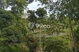 Tanah Komersial Dijual di Cisarua Bandung Barat 3000m2 Tanah Komersial Dijual di Cisarua Bandung Barat 3000m2