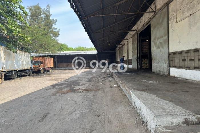Paling Dicari! Gudang Dijual di Semper Harga Kompetitif Paling Dicari! Gudang Dijual di Semper Harga Kompetitif