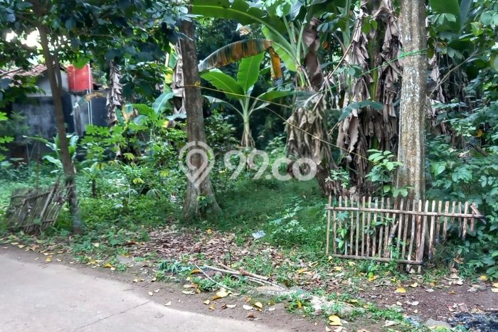 Untuk Dijual Tanah di Setu Bekasi Luas 981m2 SHM Untuk Dijual Tanah di Setu Bekasi Luas 981m2 SHM