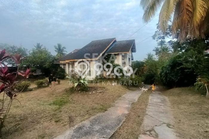 Untuk Dijual Tanah di Sail Pekanbaru Luas 10000m2 SHM Untuk Dijual Tanah di Sail Pekanbaru Luas 10000m2 SHM