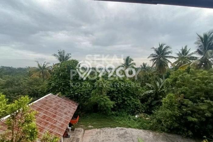 Untuk Dijual Tanah di Sail Pekanbaru Luas 10000m2 SHM Untuk Dijual Tanah di Sail Pekanbaru Luas 10000m2 SHM