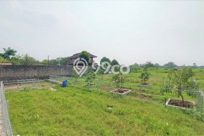 Tanah Kavling untuk Dijual di Dramaga Bogor 103m2 Tanah Kavling untuk Dijual di Dramaga Bogor 103m2