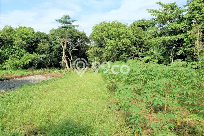 Lahan Investasi Lokasi Setu Tangerang Selatan SHM Lahan Investasi Lokasi Setu Tangerang Selatan SHM