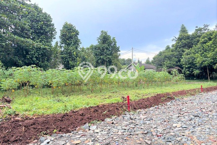 Lahan Investasi Lokasi Setu Tangerang Selatan SHM Lahan Investasi Lokasi Setu Tangerang Selatan SHM