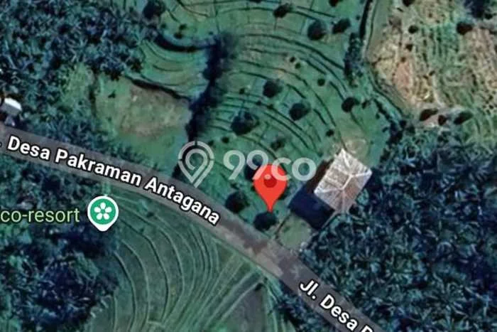 Untuk Dijual Tanah di Selemadeg Tabanan Luas 300000m2 SHM Untuk Dijual Tanah di Selemadeg Tabanan Luas 300000m2 SHM