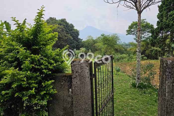 Tanah Dijual Area Strategis di Puncak Bogor 10200m2 Tanah Dijual Area Strategis di Puncak Bogor 10200m2