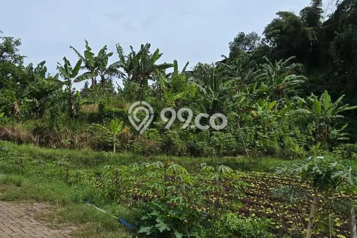 Tanah Kavling di Parongpong Dijual dengan Luas 578m2 Tanah Kavling di Parongpong Dijual dengan Luas 578m2