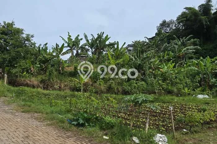 Tanah Kavling di Parongpong Dijual dengan Luas 578m2 Tanah Kavling di Parongpong Dijual dengan Luas 578m2