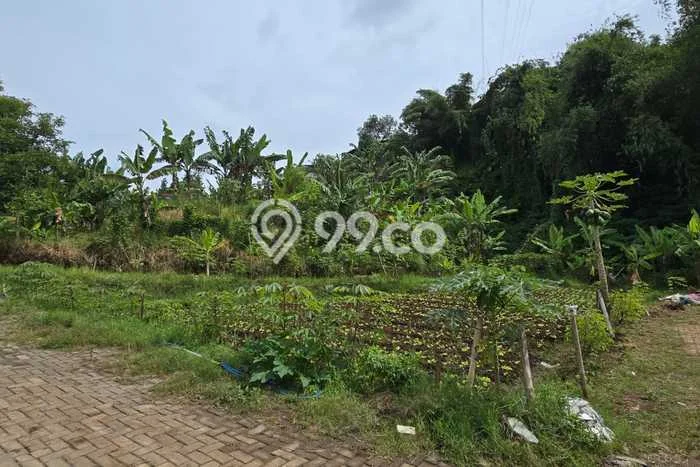 Tanah Kavling di Parongpong Dijual dengan Luas 578m2 Tanah Kavling di Parongpong Dijual dengan Luas 578m2